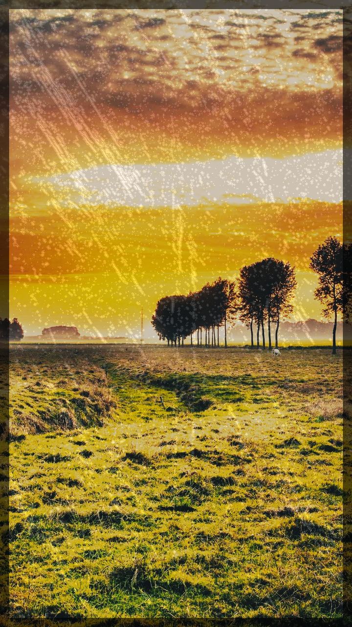 Sunset Chrome